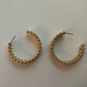 Elegant Gold Hoop Earrings